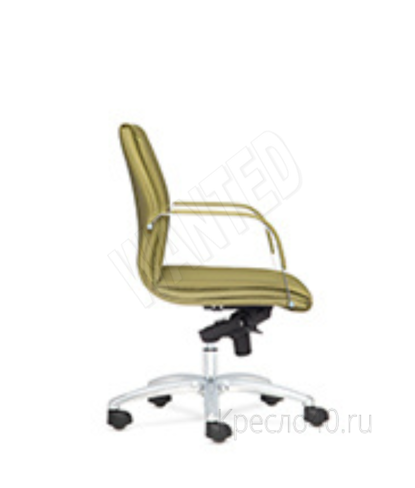 БЕРН D80_1